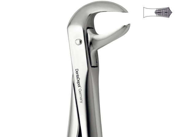Extracting Forceps, English Pattern, Lower molars